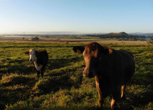 Our Neighbours
