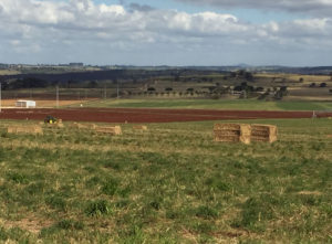 View over fields